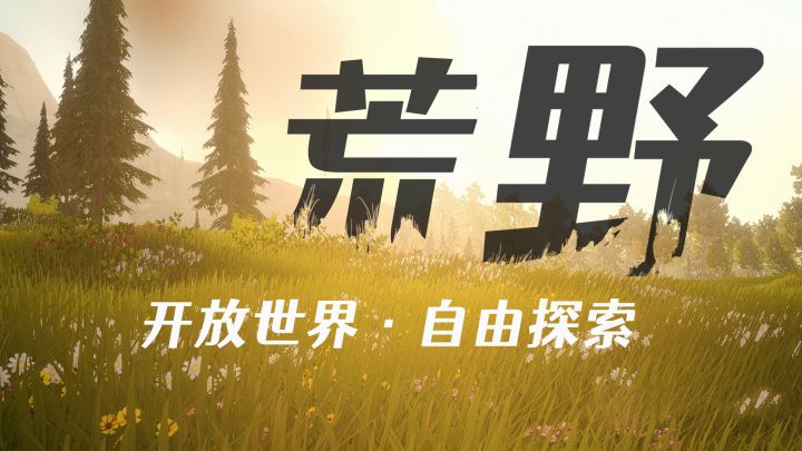 走过不同的道路，来到一个个不同的世界，看到一幅幅令人难忘的风景！一个人在荒野流浪！截图