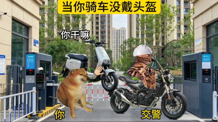 没有人可以逃过交通罚单截图