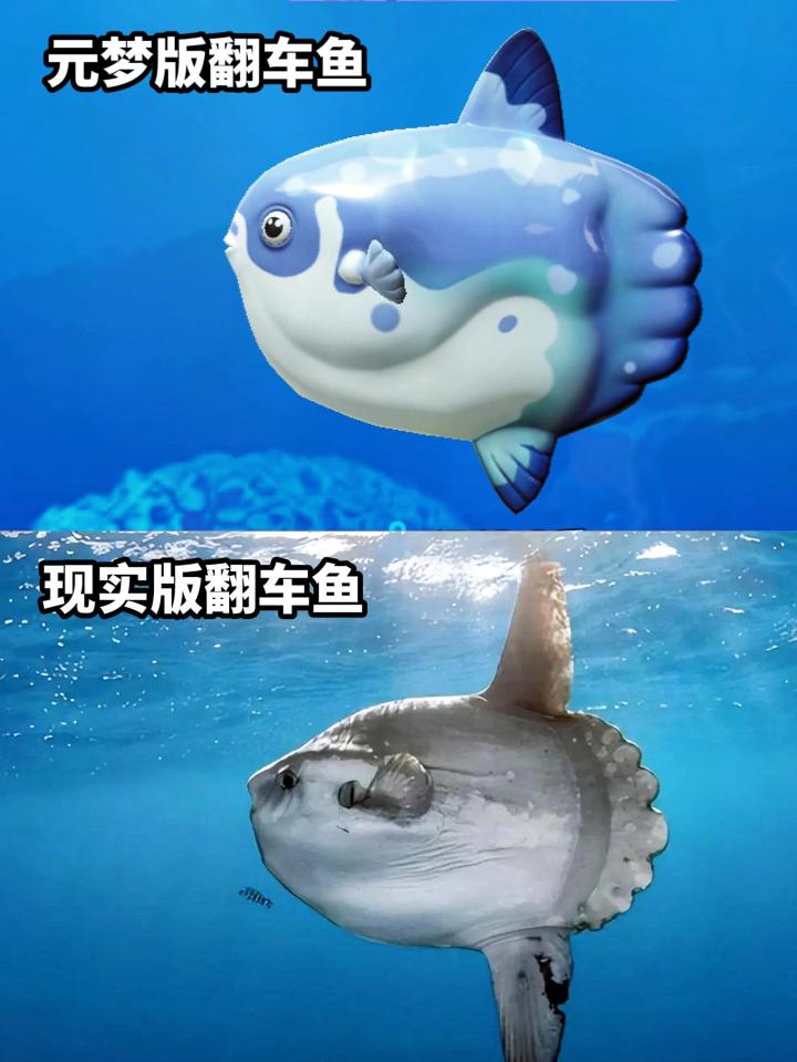 哈哈哈哈元梦的鱼竟真的是写实版!!!截图