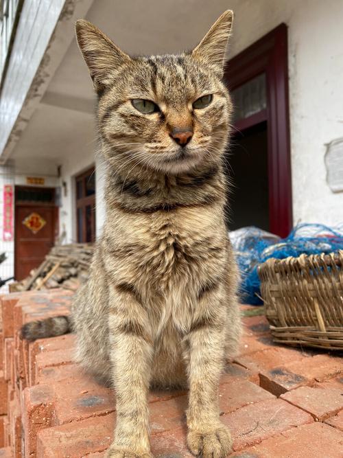别异想天开了不抽赛季截图