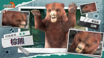 图鉴电报丨《逆境重生》动物篇-棕熊