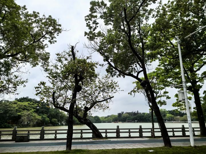 谷雨分享第二天截图