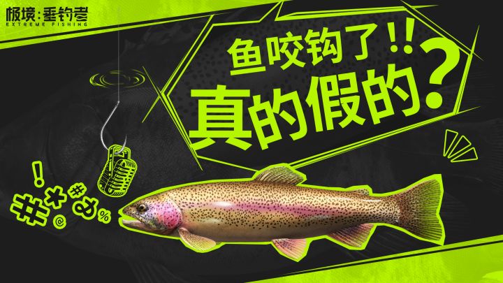 震动波解读:在下竿前,先听懂鱼的悄悄话截图
