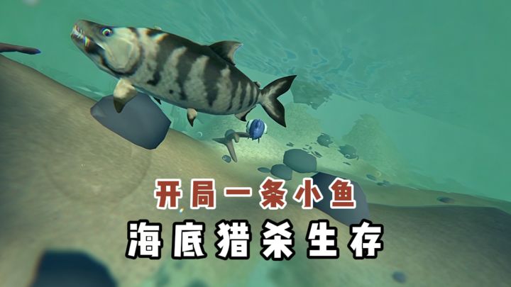 开局一条小鱼❓海底猎杀生存❓截图