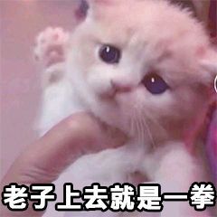 新人刚玩截图