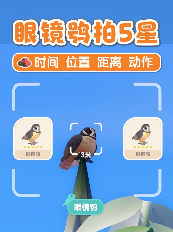 14级鸟 眼睛鸮 五星攻略 观鸟详细攻略截图