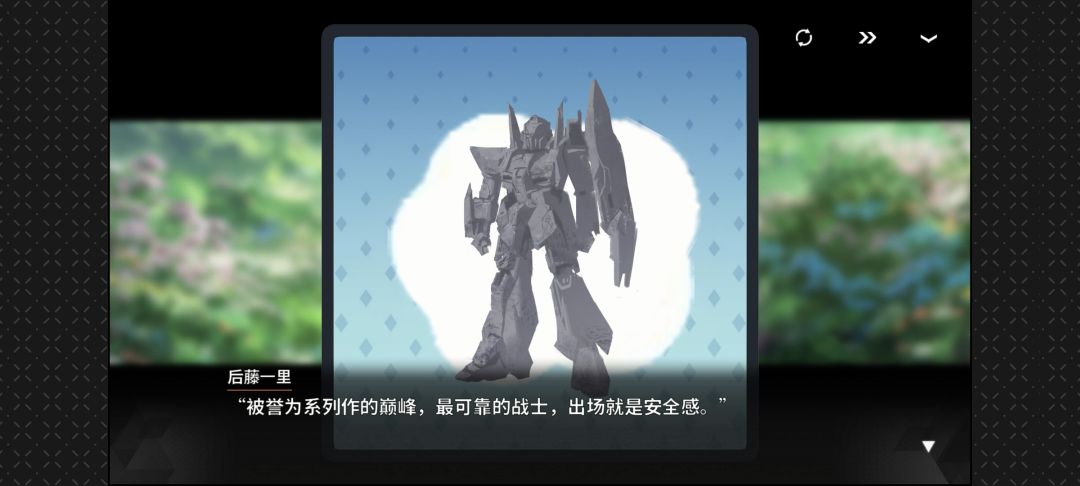 石头鉴赏大会 13