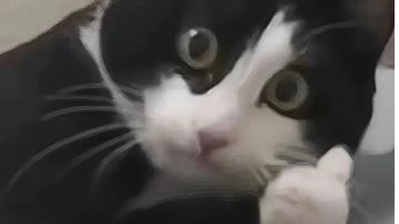 关于香肠派对帧率的一些解决方案（二）