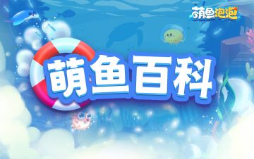 萌鱼百科丨宝莲灯鱼