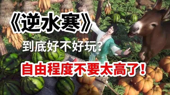 你游戏自由度这么高,逆水寒的逆是逆天的逆吧?!截图