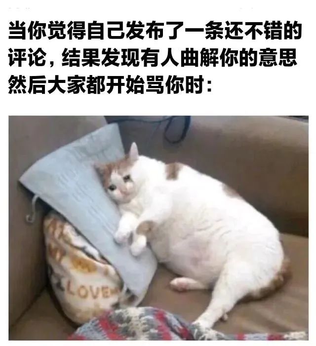 今日份梗图分享 1