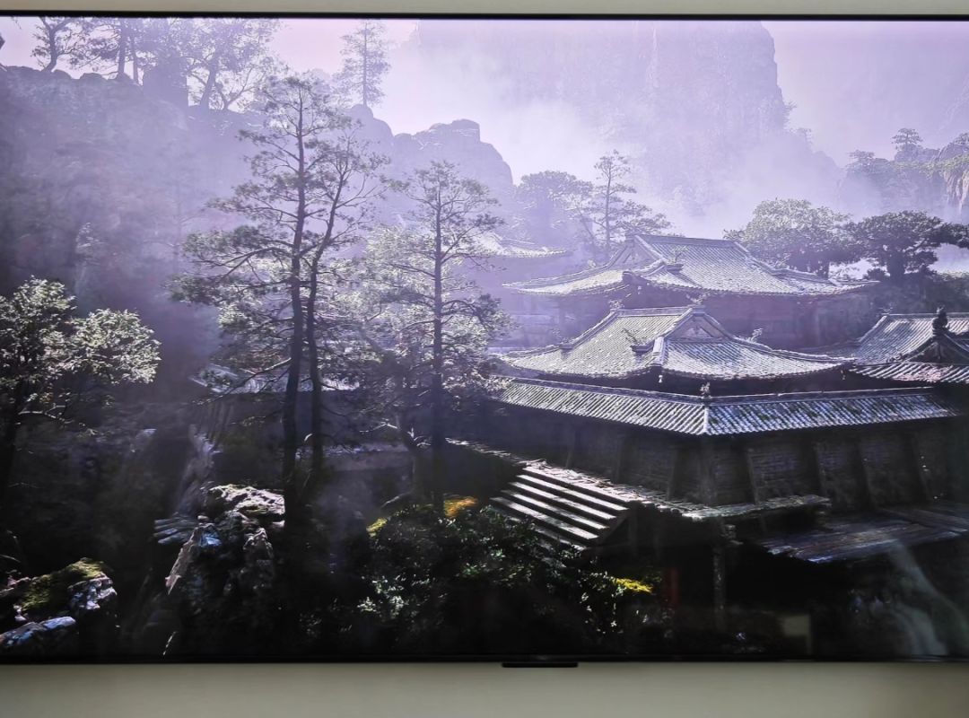 98寸爽玩黑神话悟空 4