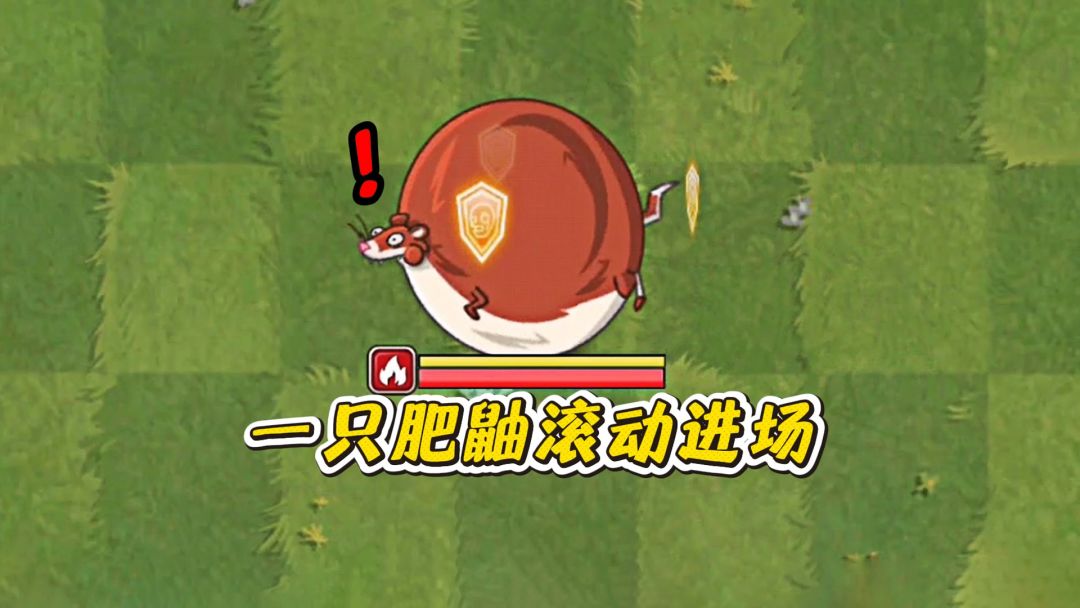 当一只肥鼬滚动进场截图