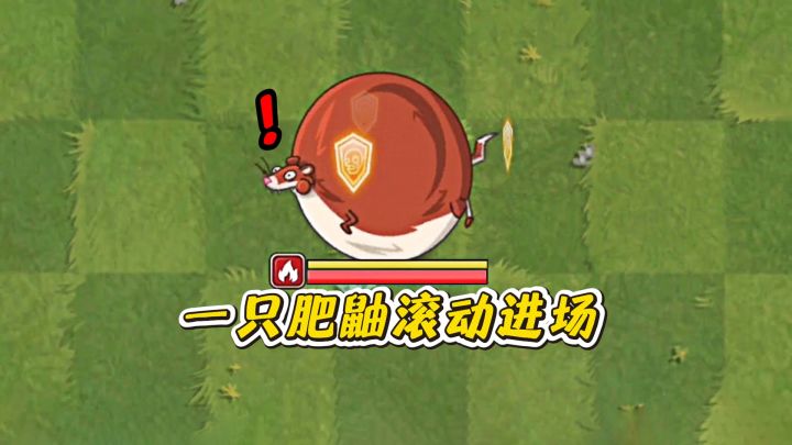 当一只肥鼬滚动进场截图