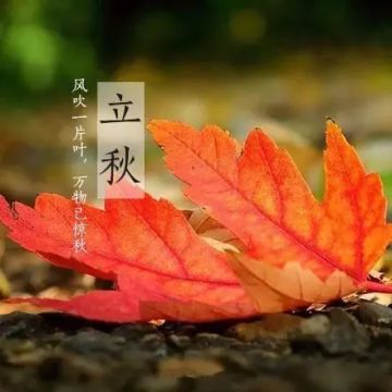 二十四节气——立秋