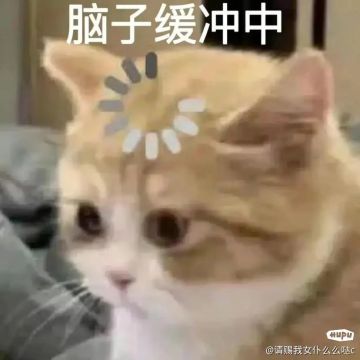 现在盾娘的强度怎么样呢？