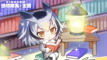 王国日常丨白脸角鸮：“想了解什么，可以来找我。”