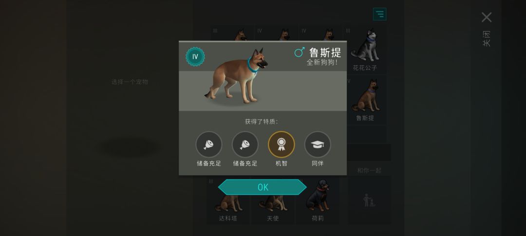 朋友的狗 3