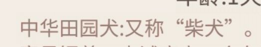 !这个游戏怎么回事儿!?🙃 2