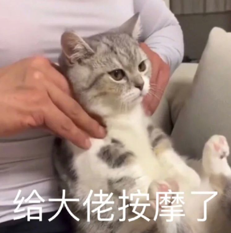 新手保护期一过,会被人追着打吗? 1