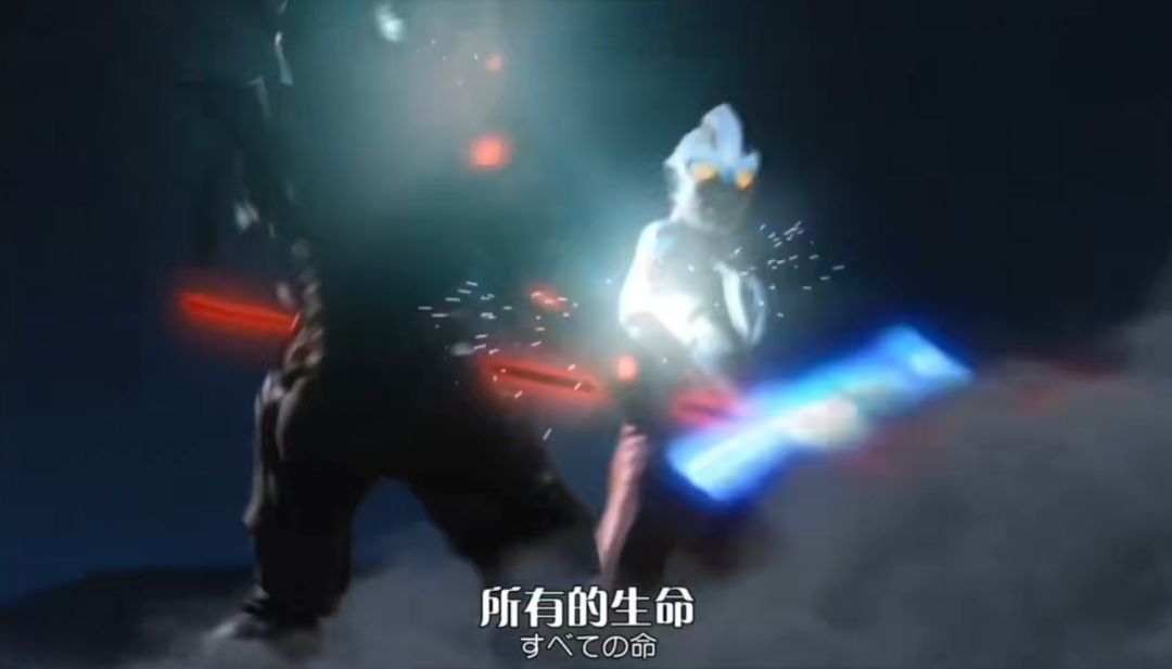 肉鸽阿米娅现状 2