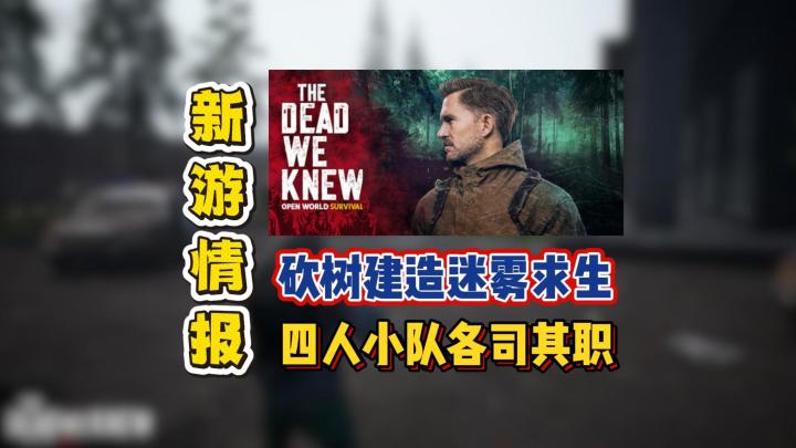 砍树建造迷雾求生,四人小队各司其职截图