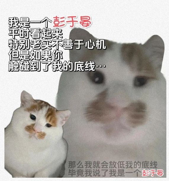 什么时候出改名道具? 1
