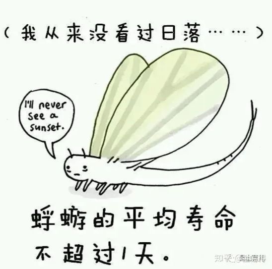 (每日一氵) 9
