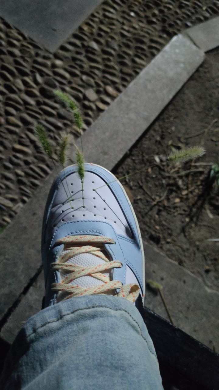 假期分享第三天截图