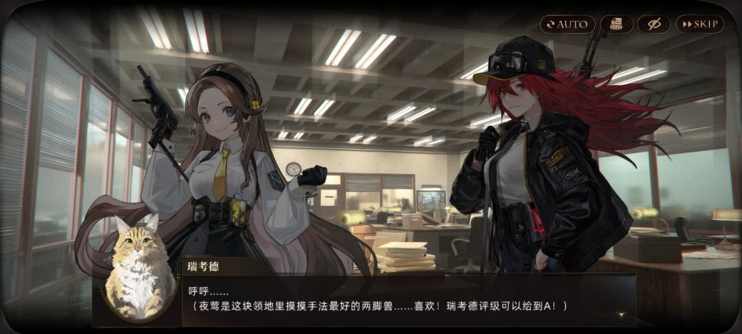 猫猫好 1