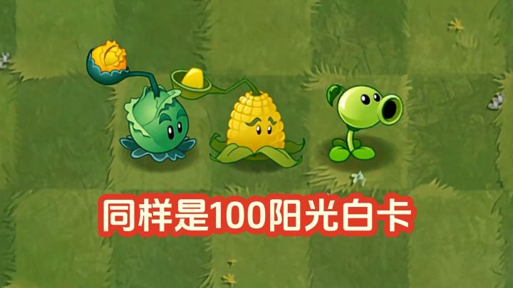 100阳光五阶白卡植物PK!谁能击败一阶巨人?截图