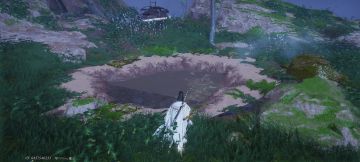 悼爱兽野猪妈妈及幼儿