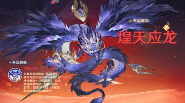 荒神图鉴丨煌天应龙的运用思路来啦！