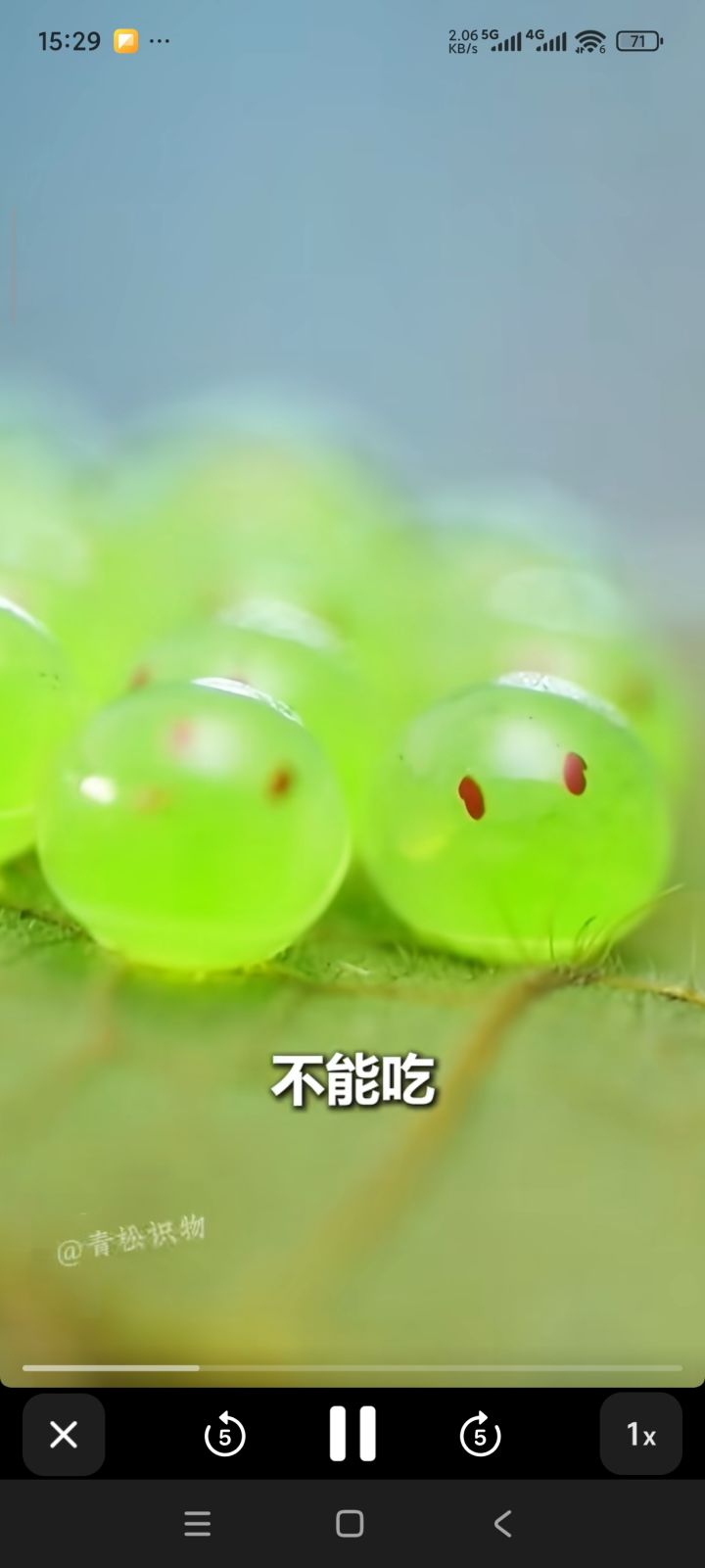 发现史莱姆进化全过程截图