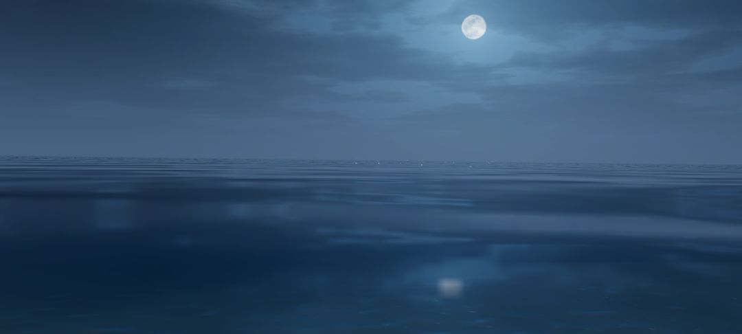 樱花与夜景 2