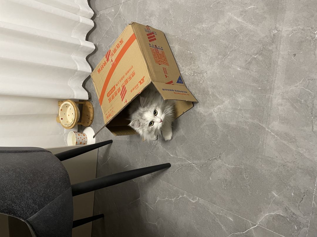 快告诉我完美开局是什么 1