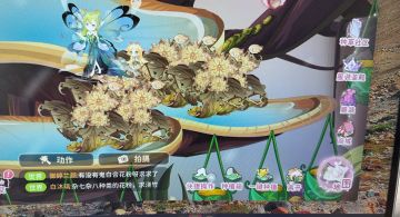 关于小花仙，希望改进的地方