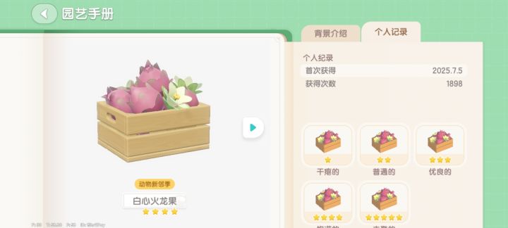 火龙果五星截图