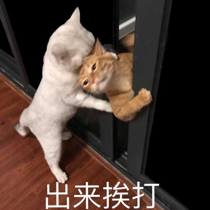 #胜利女神 头像框呢？截图