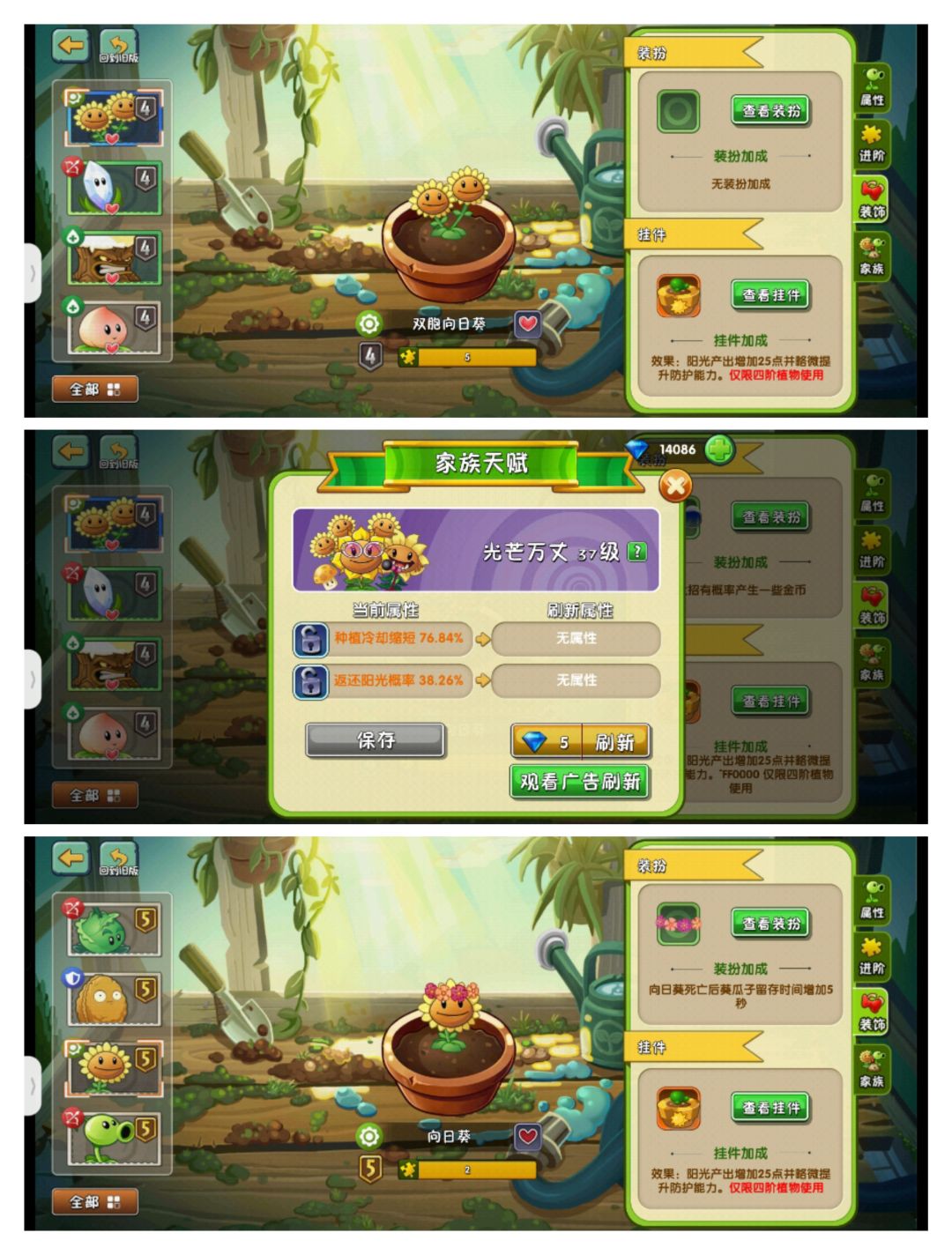 家族&装扮&基因&挂件 1