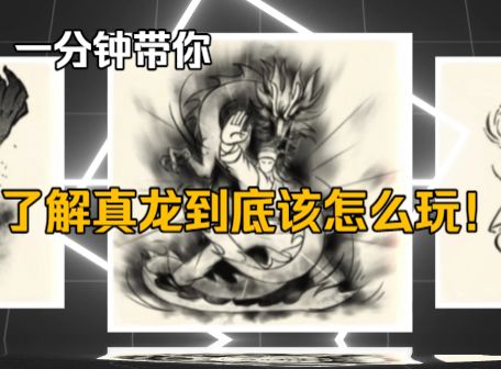 一分钟带你了解真龙截图