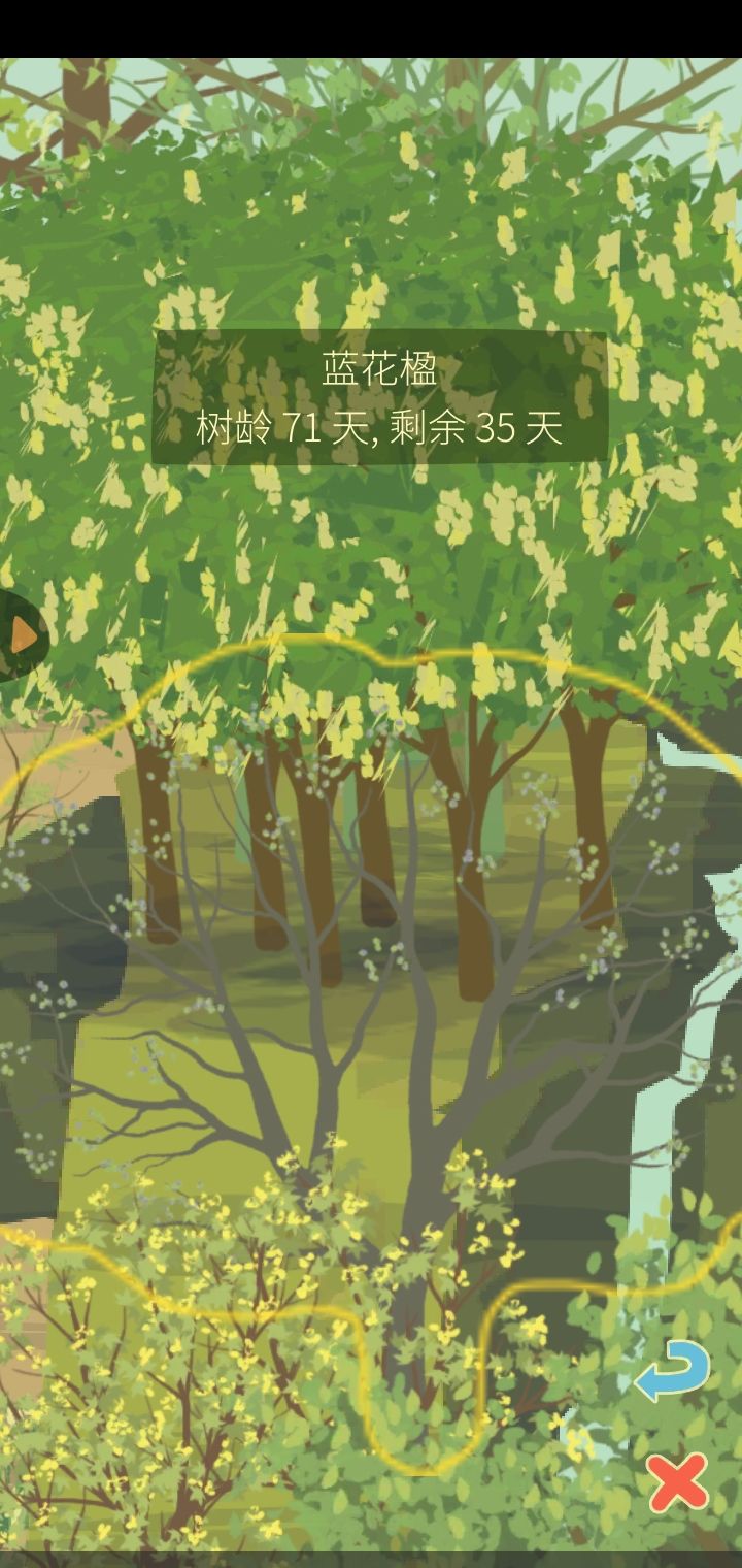 突然发现春天的蓝花楹不是我想象的样子截图