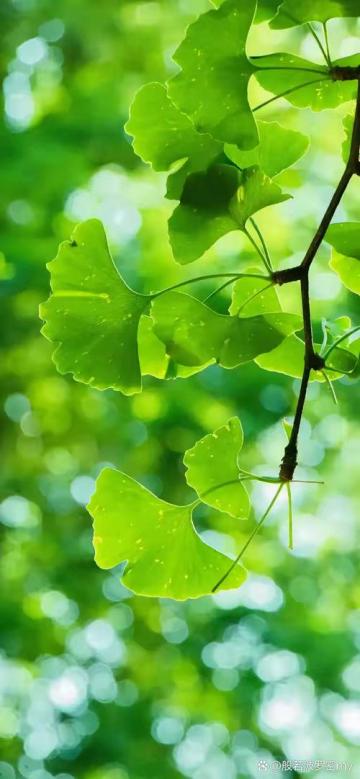 （封面无关）1月12日，27官3渠车车发布