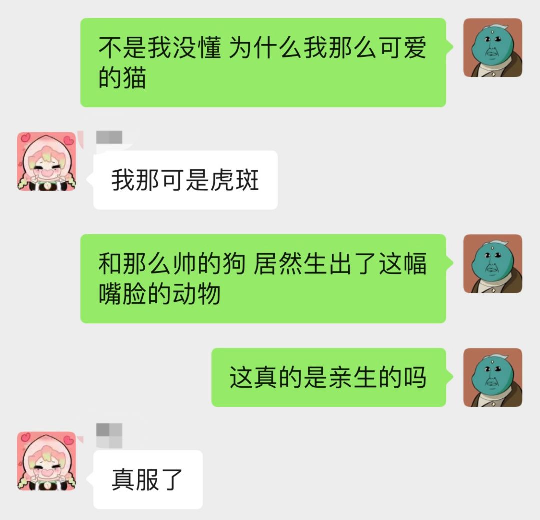 这育宠真的宠不了一点 5