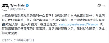 《喵喵的结合》正在向中文玩家征集猫咪名字