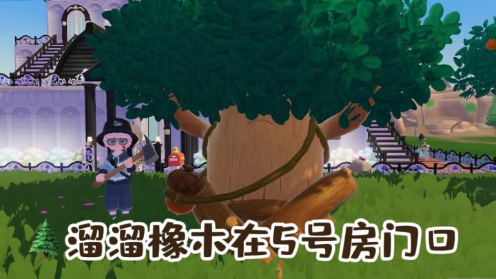 今日份必做来啦截图