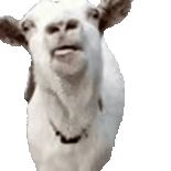 早上做梦梦到简直魔怔了ಠ_ಠ