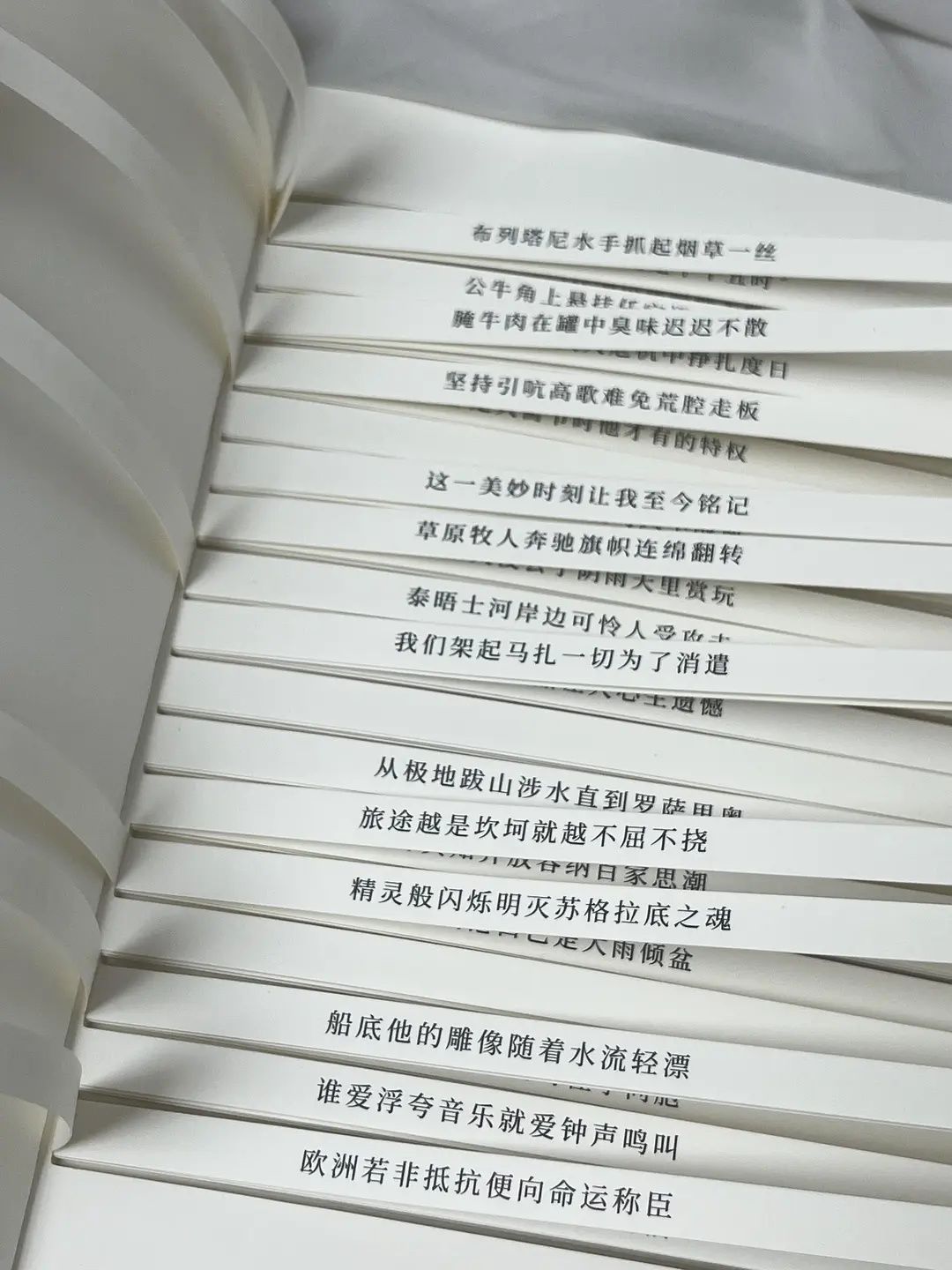 〈恒沙档案〉 11