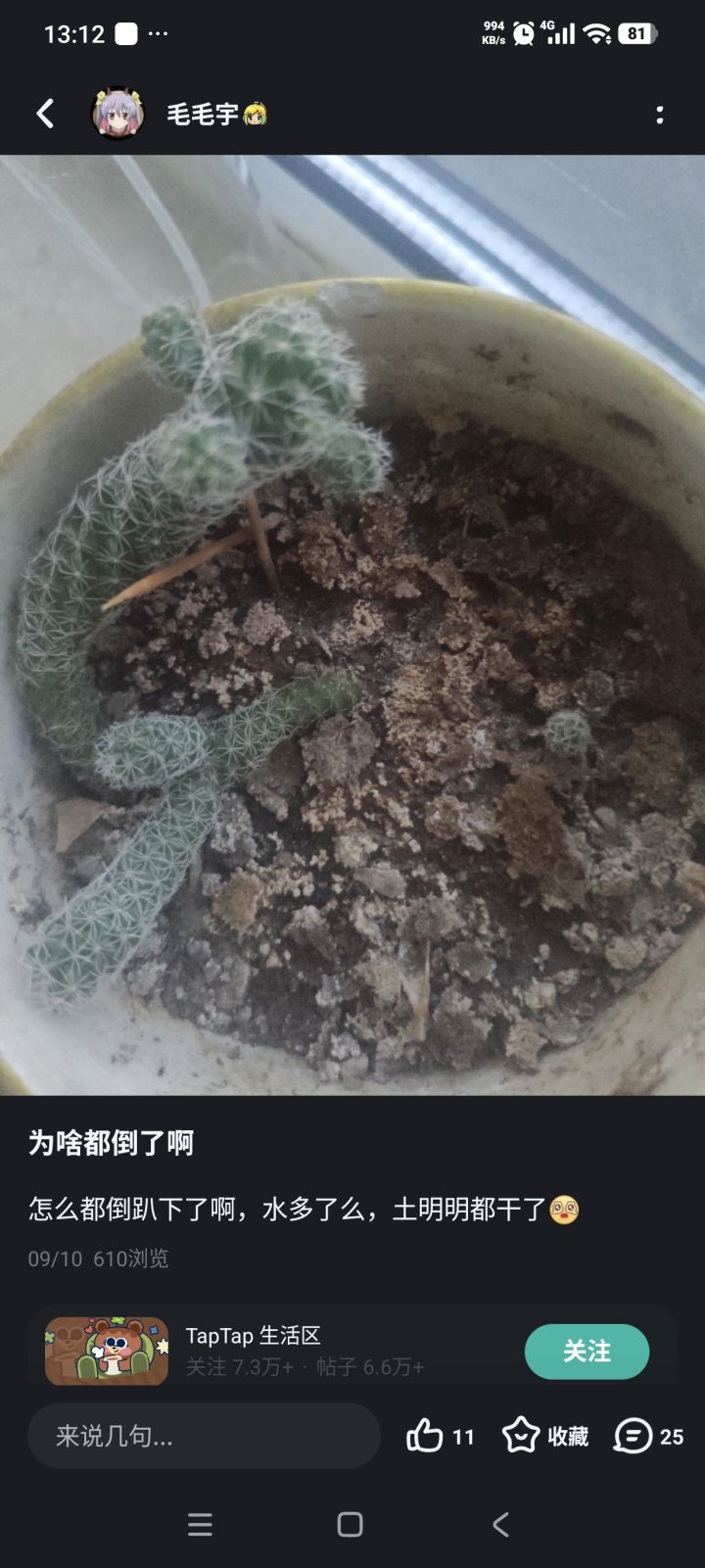 大自然真的神奇啊截图