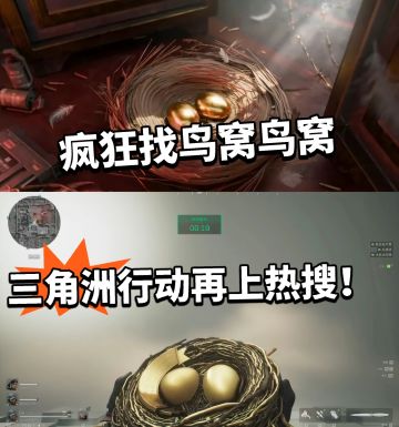 三角洲:掀起找鸟窝热潮！冲上热搜